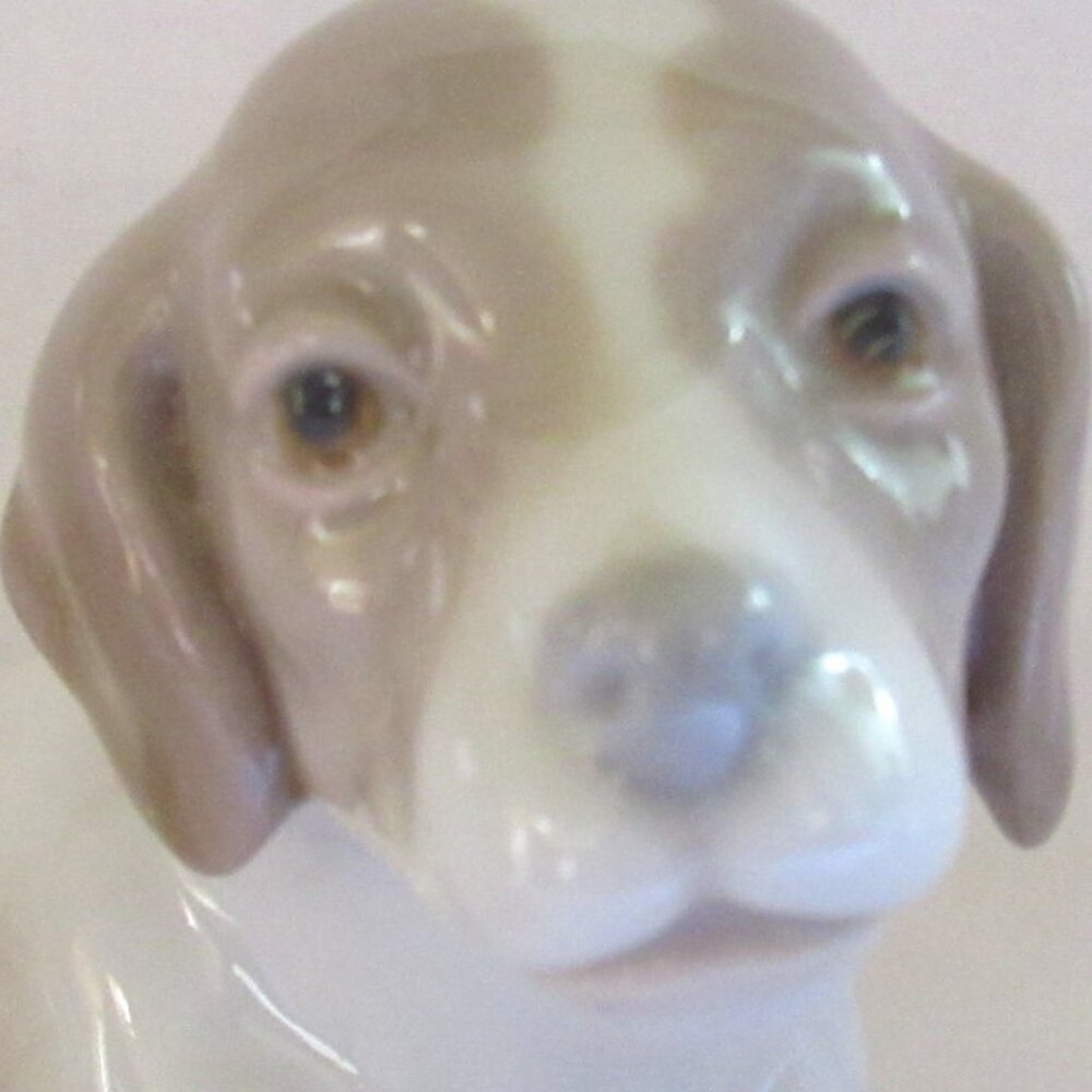 Lladro NAO Beagle, Tan and White, Sweet Puppy   D1111